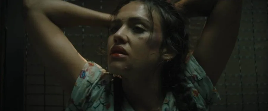 Frame 6