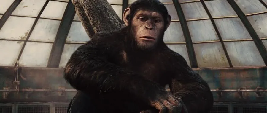 Frame 7