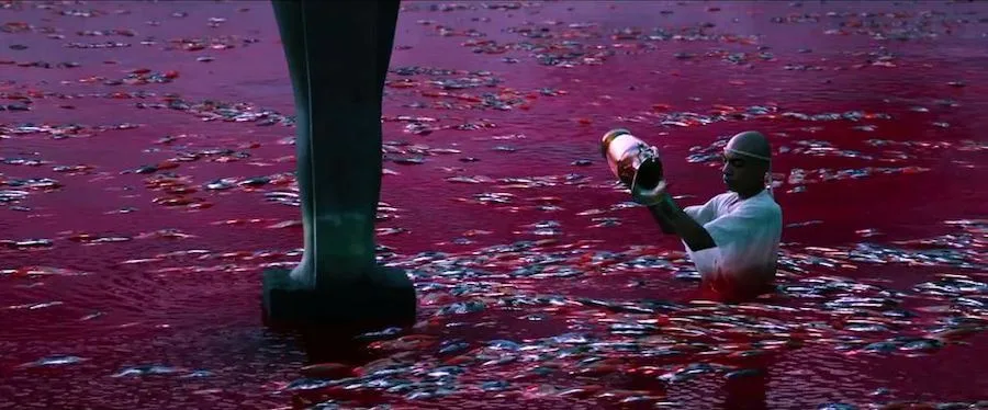 Frame 5