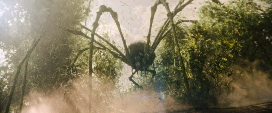 Frame 7