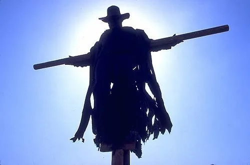 Frame 7