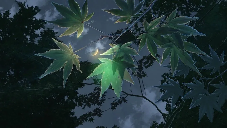 Frame 1