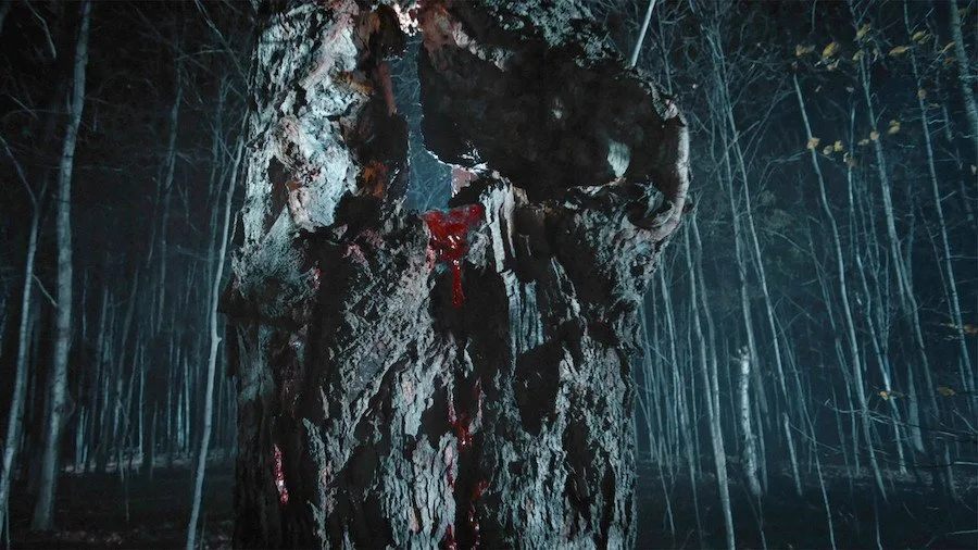 Frame 8