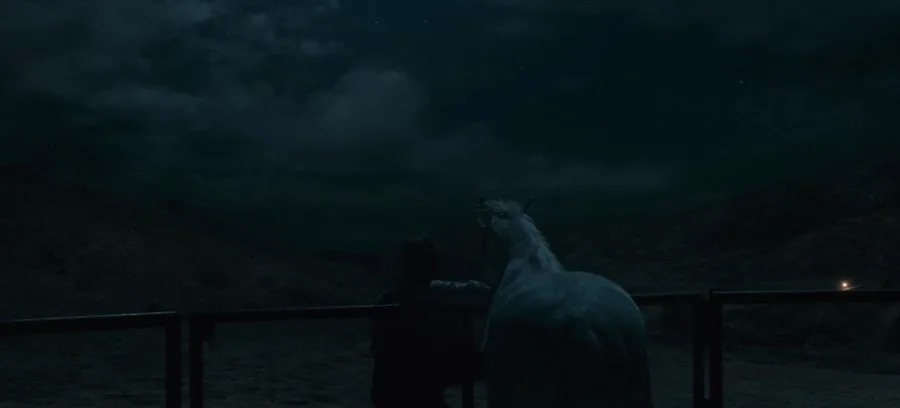 Frame 13