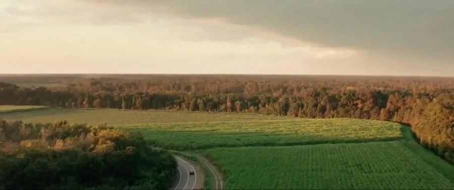 Frame 7