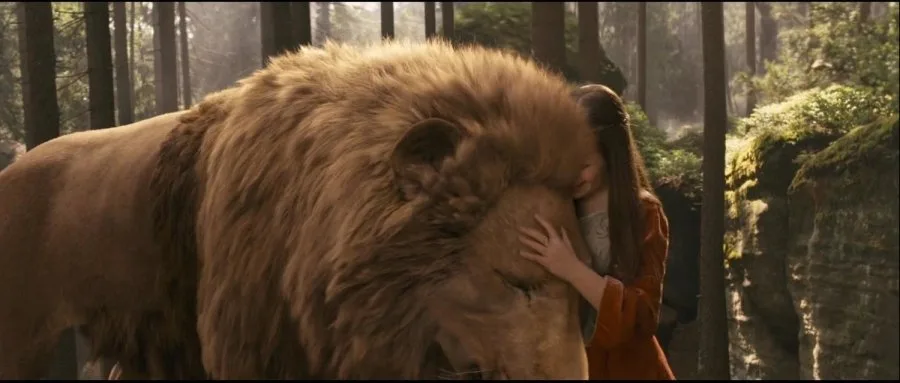 Frame 7