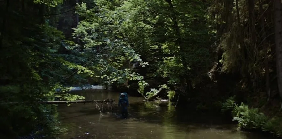 Frame 2